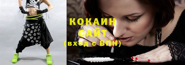 индика Лихославль