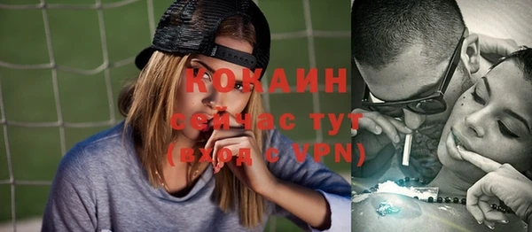 индика Лихославль