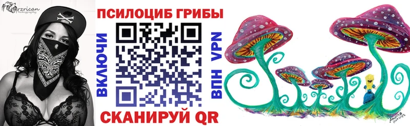 Псилоцибиновые грибы Psilocybe  сколько стоит  Салават 