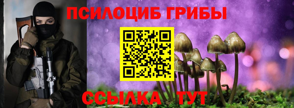 Галлюциногенные грибы Cubensis  Вход с VPN  Салават 